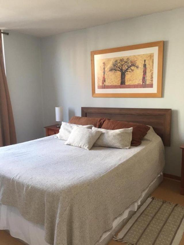 Apartamento B&m Alquiler Diario Santiago